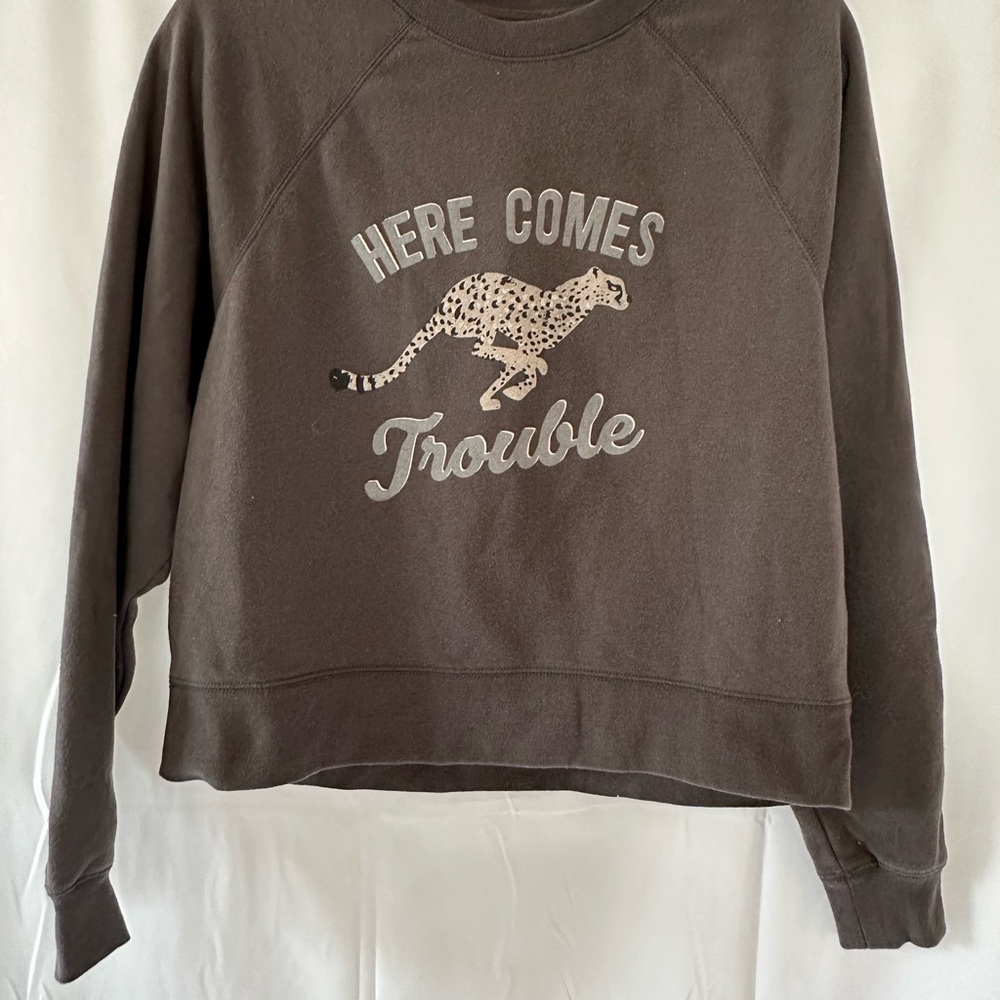 Amuse Society Gray Graphic Crop Hoodie
